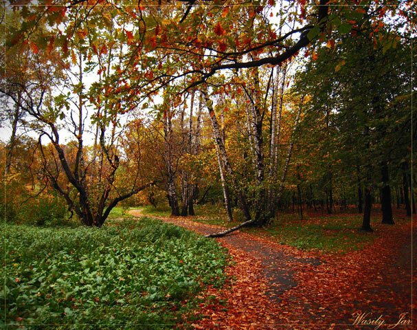 Осень.Сокольники. 