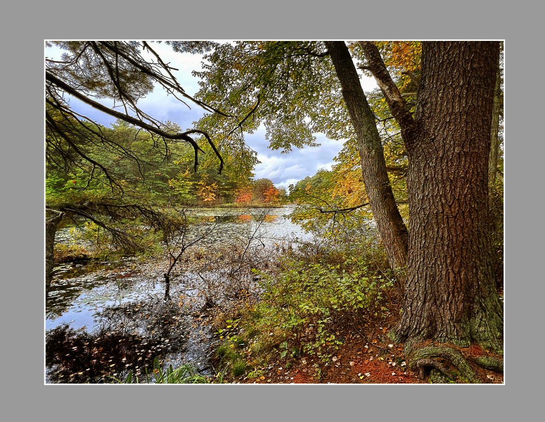 Lake Boon 