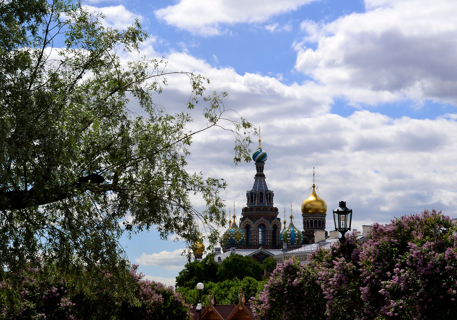 *** санкт-петербург марсово поле спас-на-крови