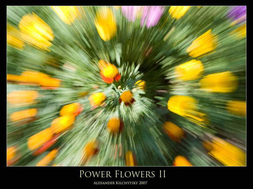 Power Flowers II лето, цветы, зум