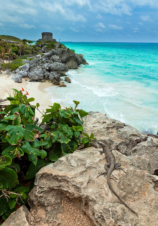 Carribean View all-inclusive, cancun, carribean,  desire, mexico, playa del carmen, quantaroo, riviera maya, yucatan, beach, celebration, resort, sand, sea, vacation