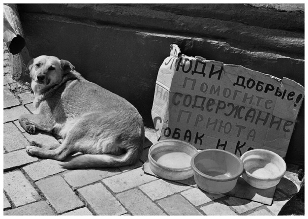 Помогите обездоленным Счет