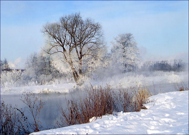 Морозное утро 