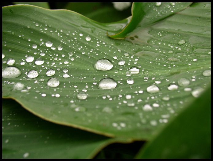 After the rain has fallen... 