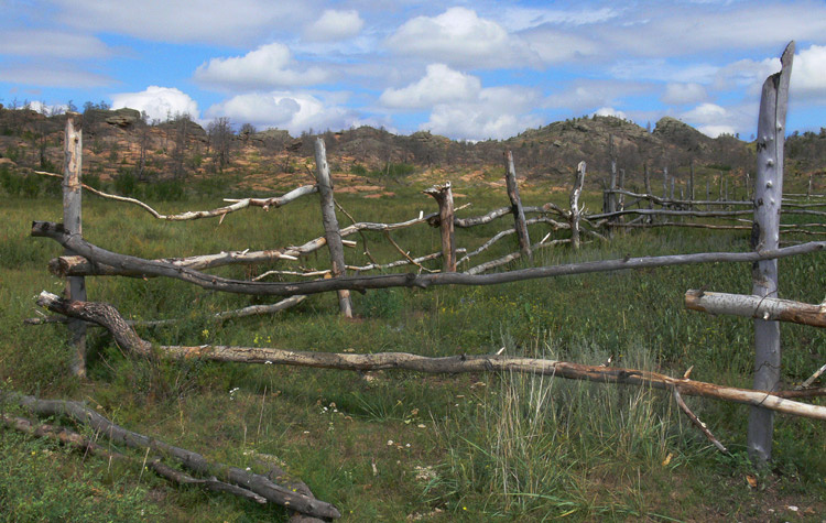 Огородик Баянаул