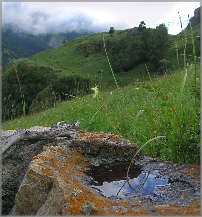 Лужица 