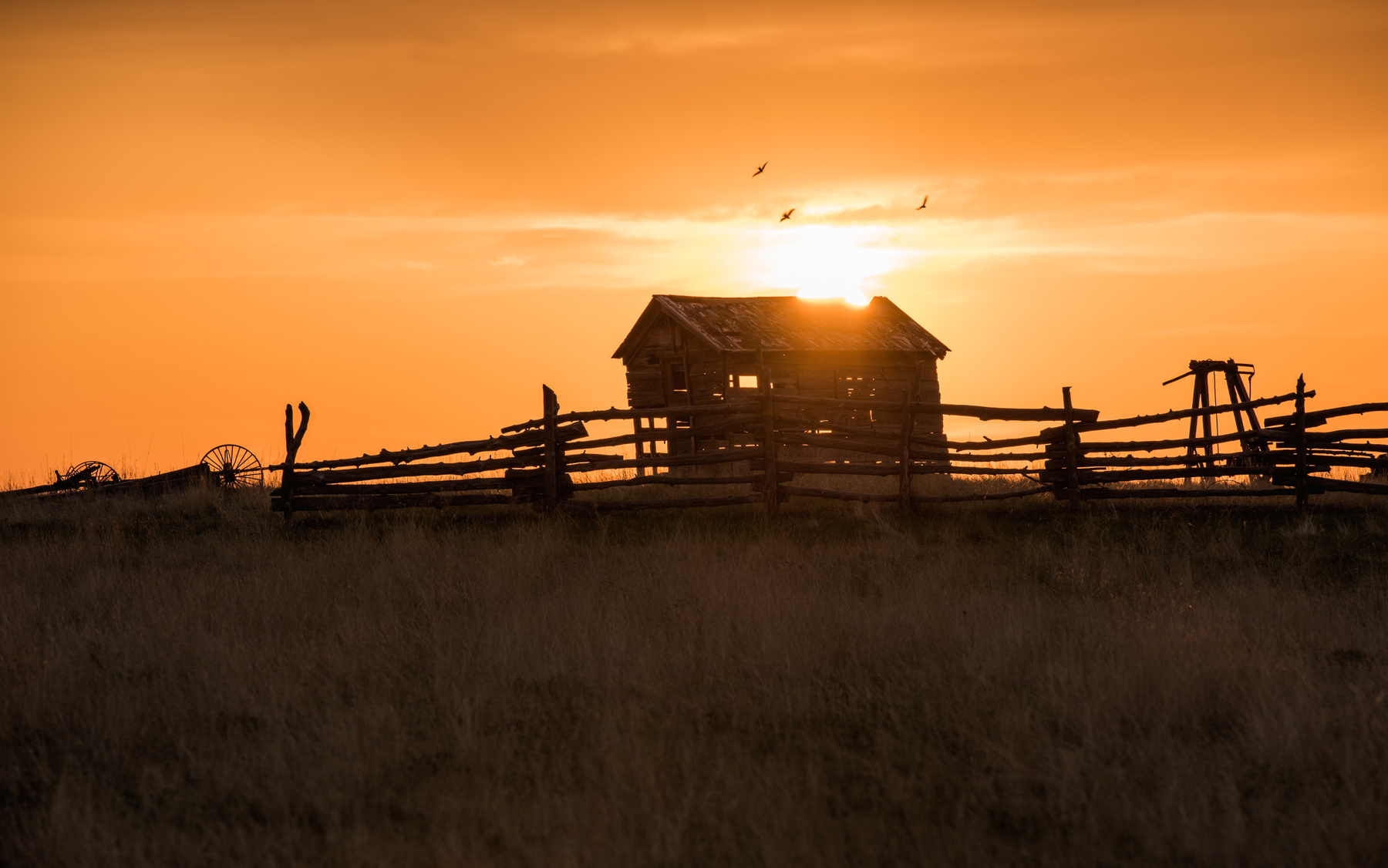 *** Wild Wild Wild West смотрите на темном фоне