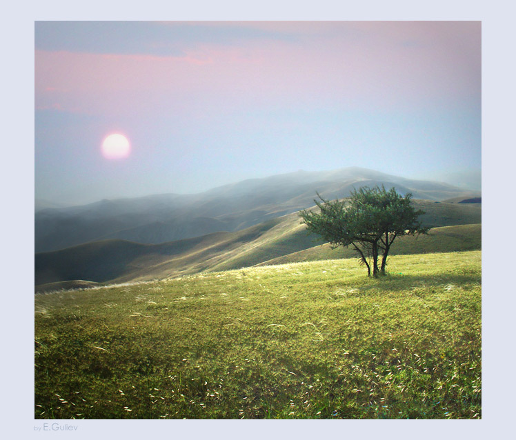 morning light 