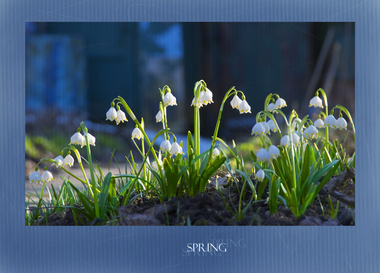 ***(вестники весны) весна