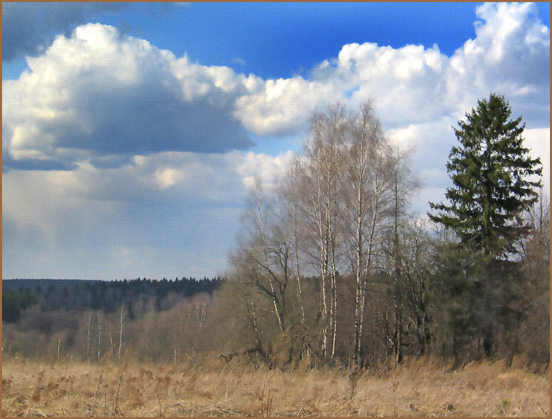 Sunny April day пейзаж, весна, апрель