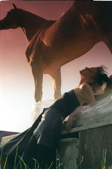 STALLION порода. мода. природа, лошадь, модель