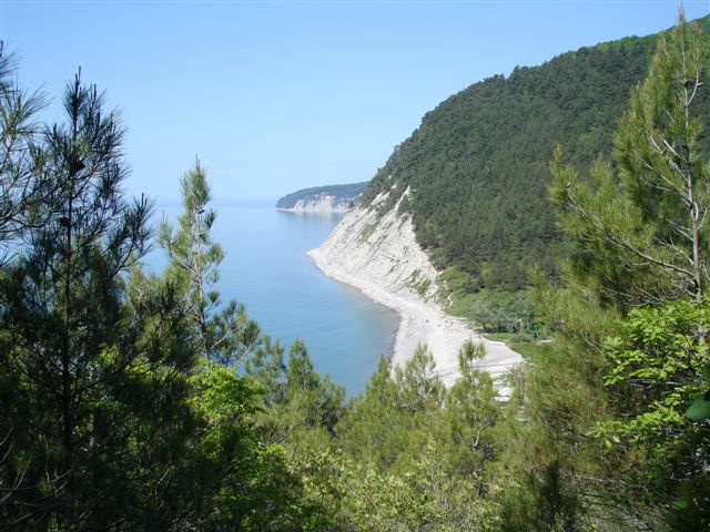 *** горы лес море отдых Новороссийск