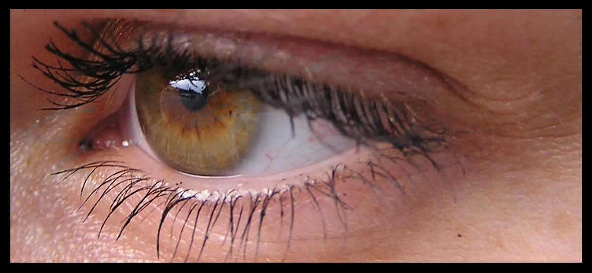 eye 