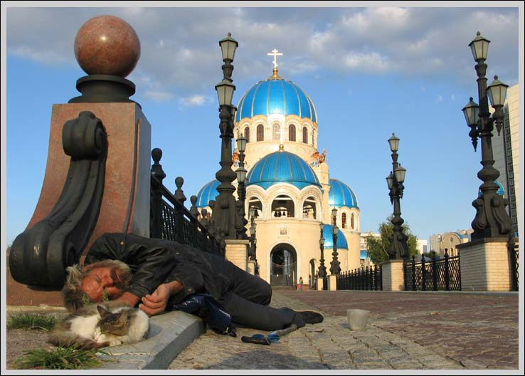 Бродяга Бродяга