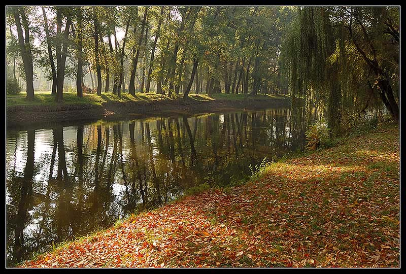 осенний парк осень парк утро