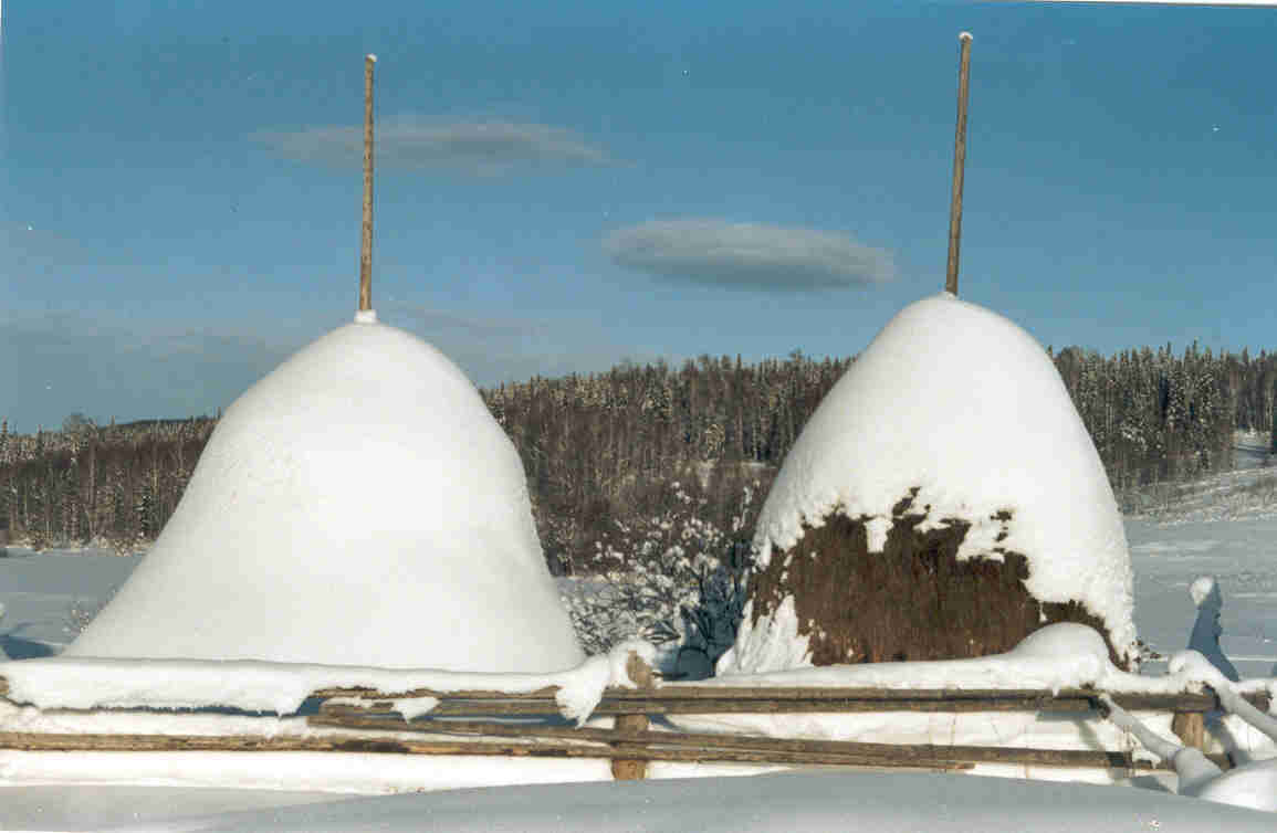 Заготовка 