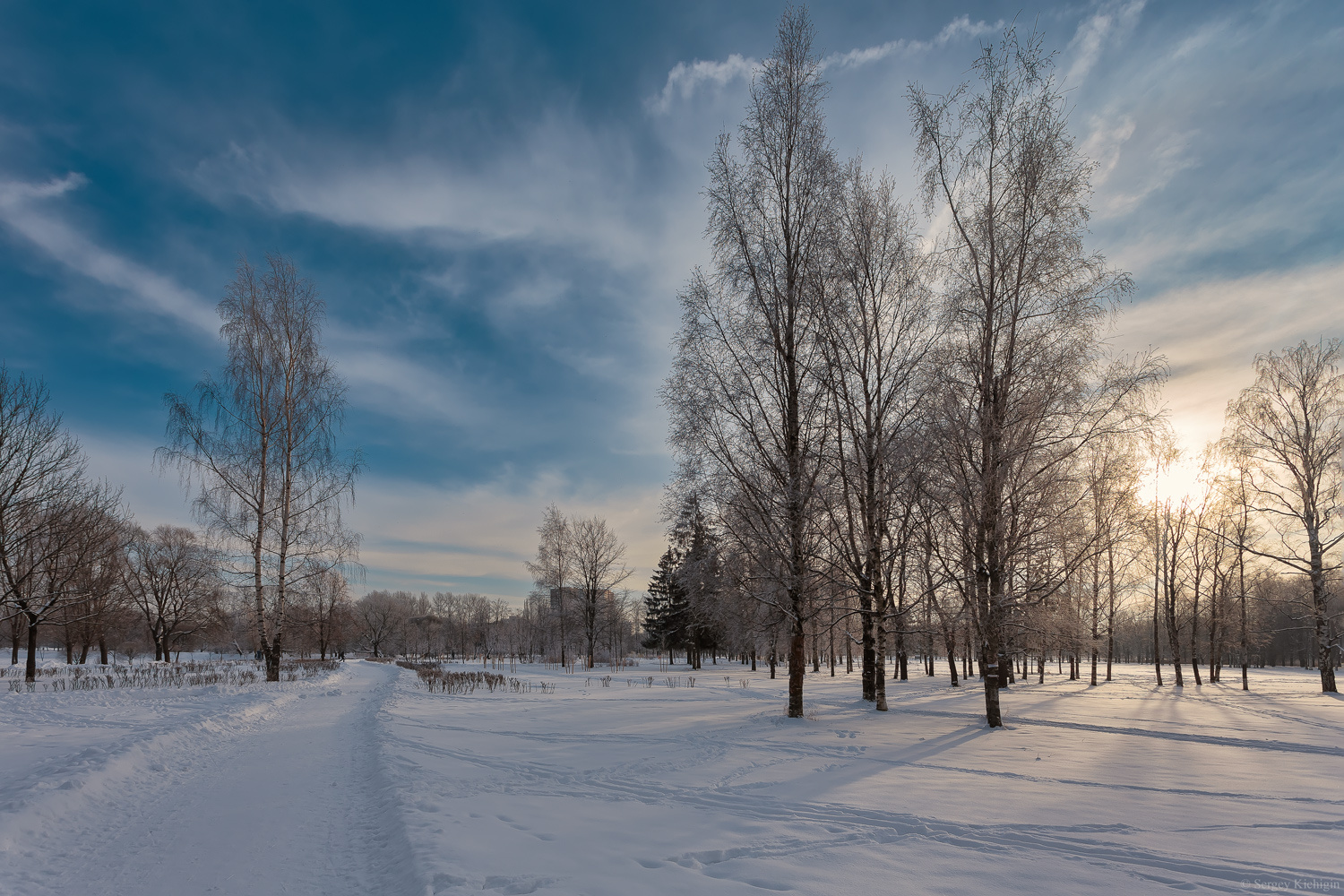 В зимнем парке... зима парк