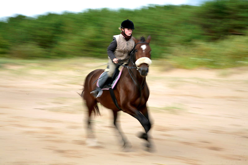 speed 