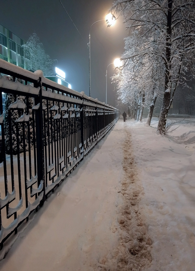 Ночью выпал снег... 