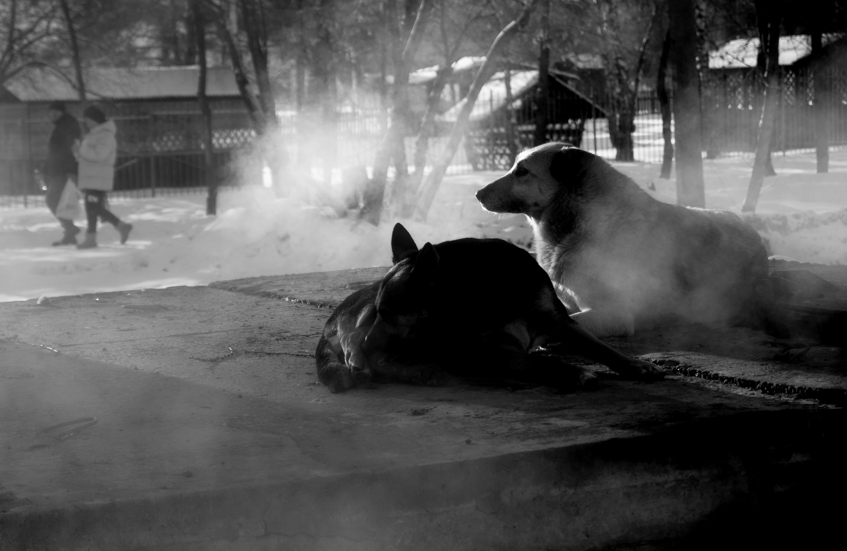Проходящие мимо Кевин Картер