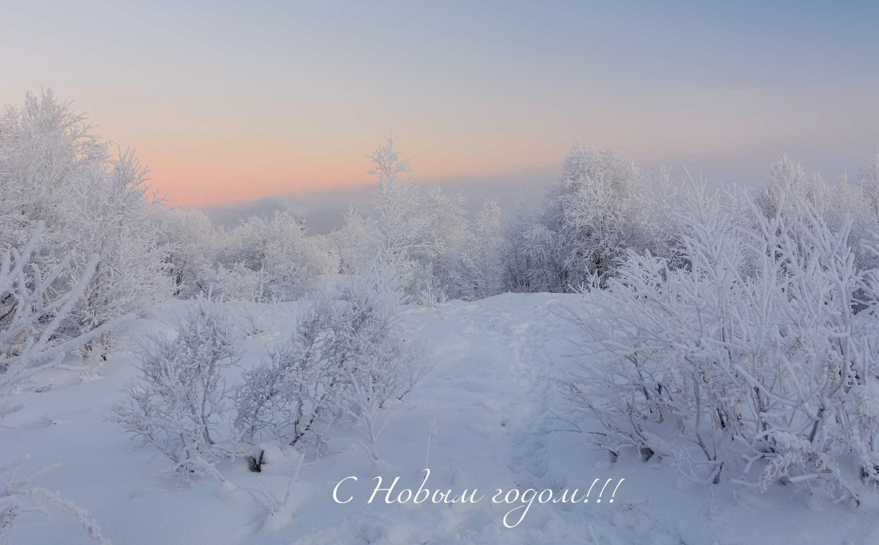 С Новым годом! 
