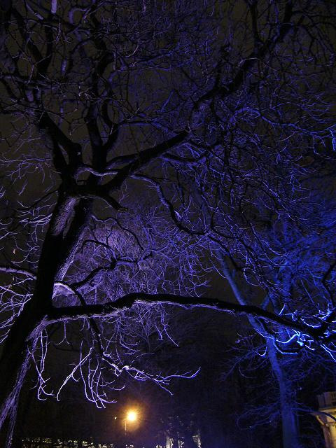 In the dark 