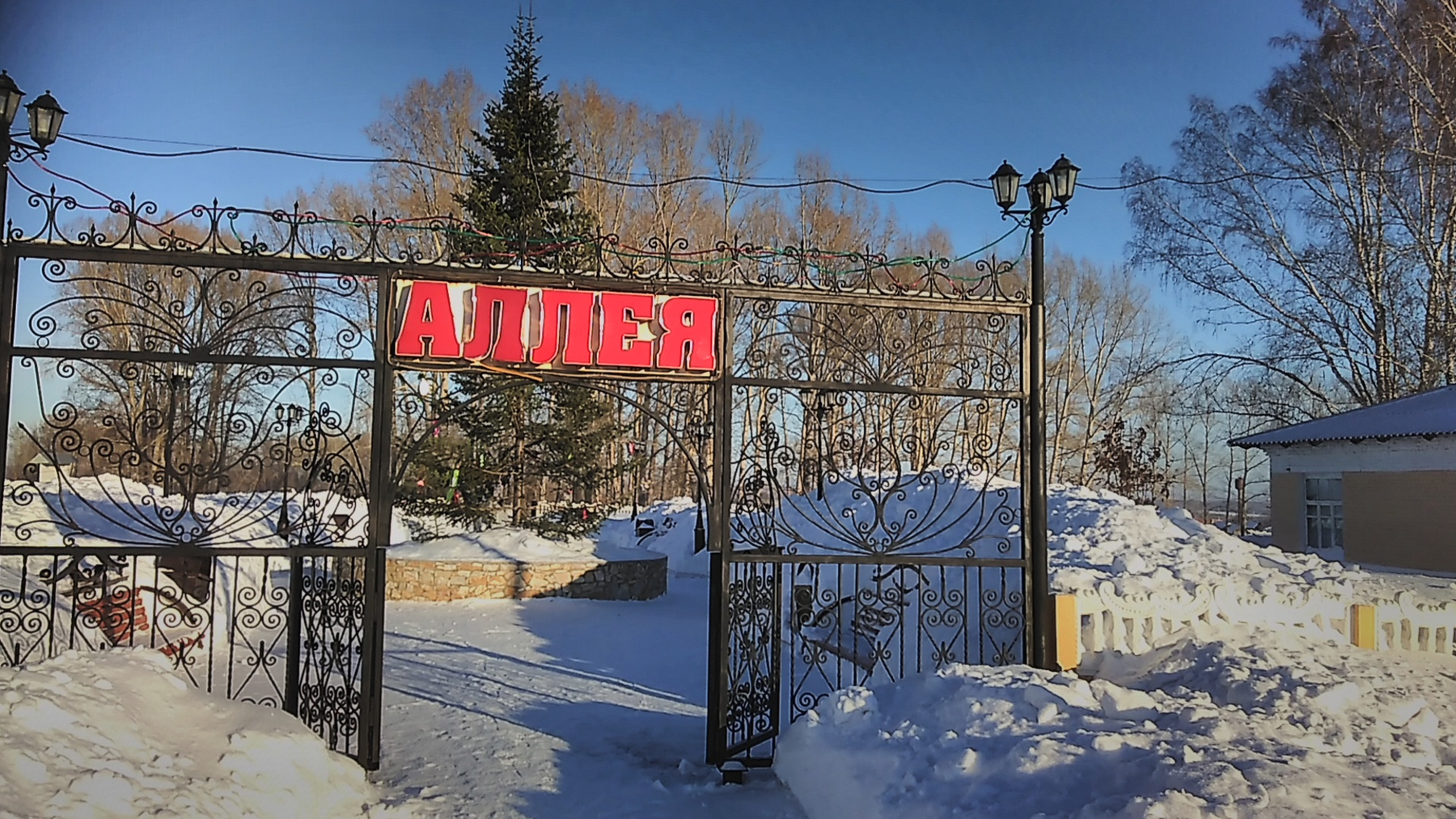 ***новогодняя ель 