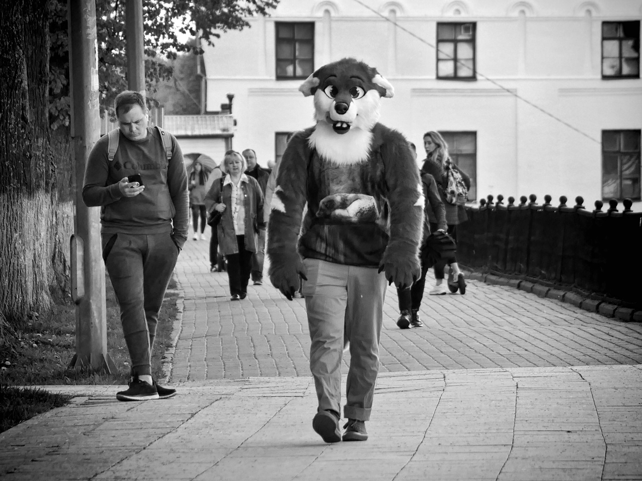 *** 