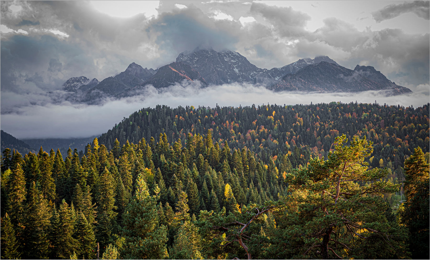 В облаках природа
