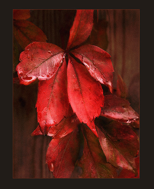 RED OCTOBER 
