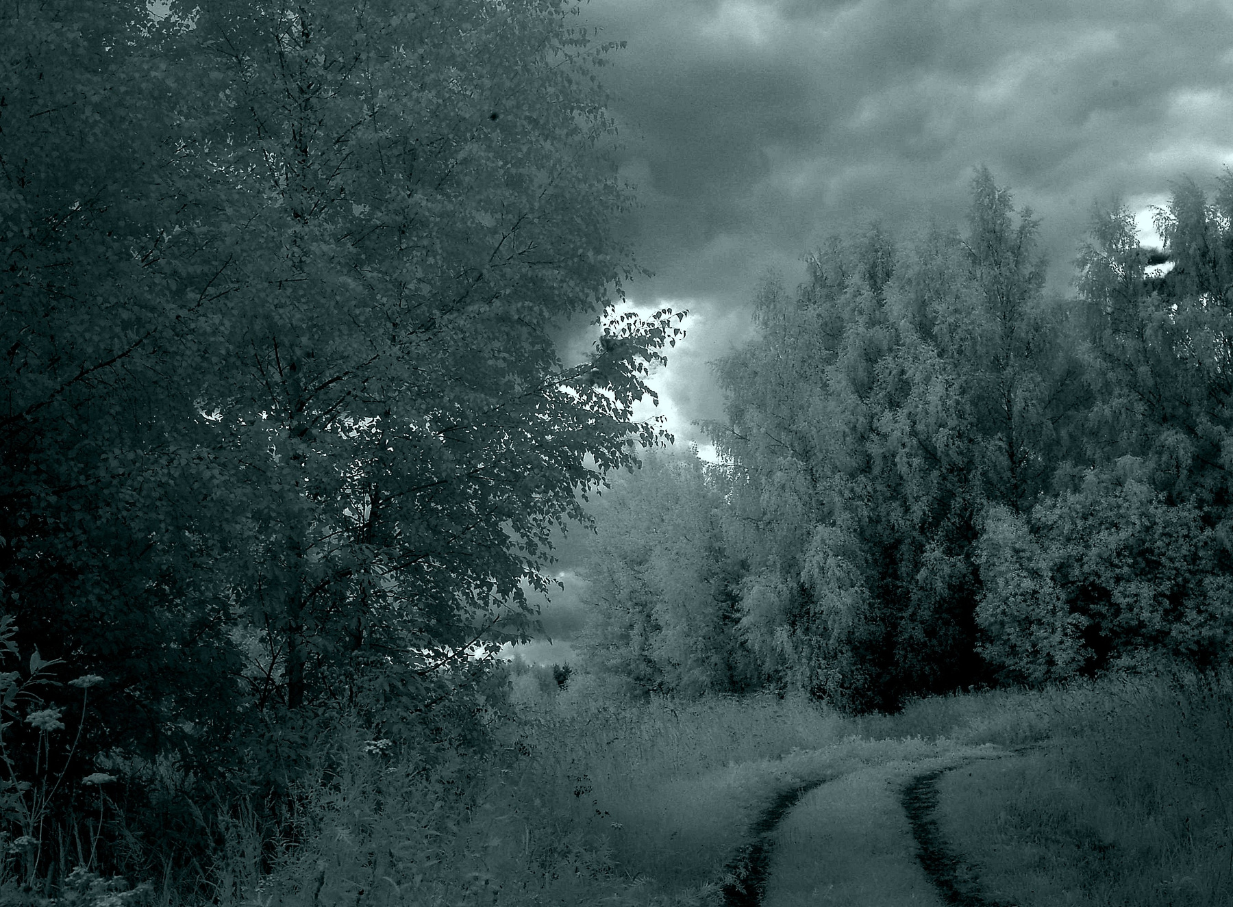 Тоска.Смутное время. Июль 2022г. от Р.Х. Ярославская губерния.Р.Ф.   , фотография.   infrared-photo@yandex.ru Инфракрасная чёрно-белая монохромная фотография infrared imaging infrared-photo yandex.ru