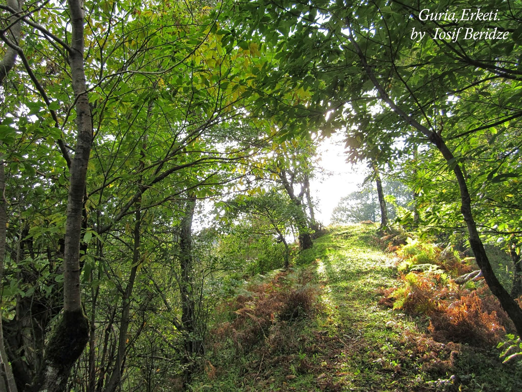 *** Travel Guria Georgia Nature Erketi Chokhatauri Грузия Природа Кавказ Туризм Гурия  Отдых