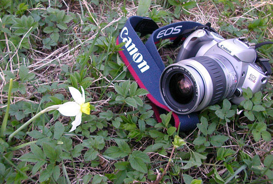 Разрешите Вас сфотографировать... фотоаппарат canon