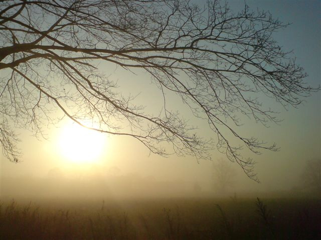 Tuman 