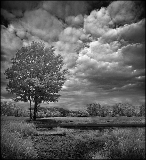 **** (InfraRed) ИК IR InfraRed Инфракрасная съемка