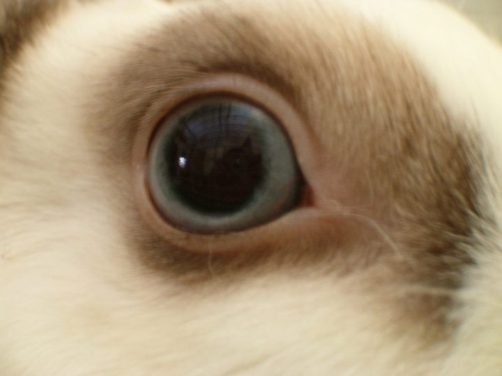 Eye of the Beholder Beholder Eye