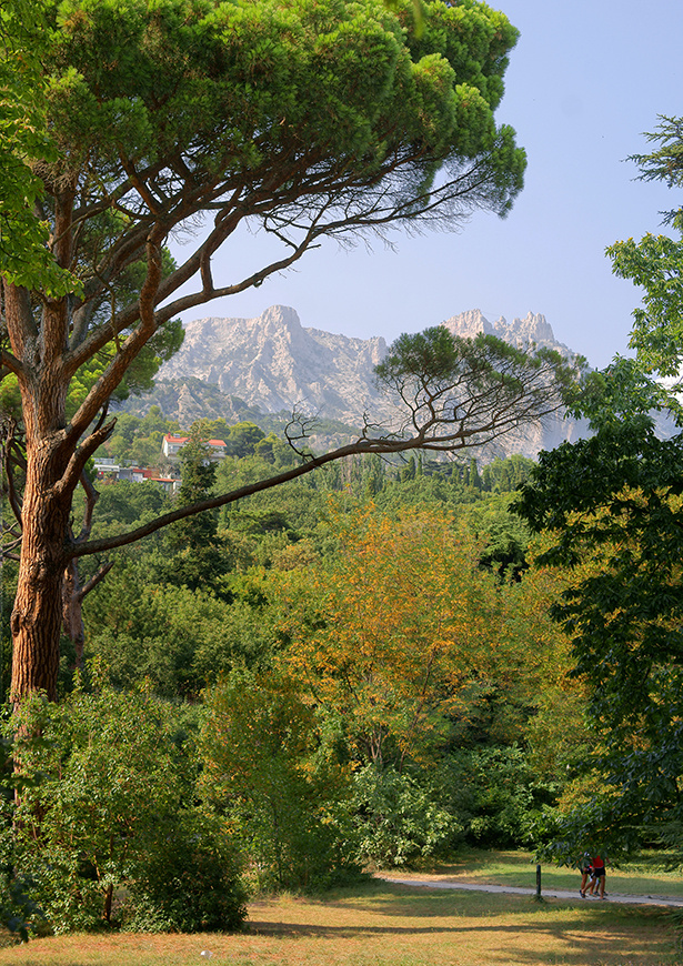 Алупкинский парк. Крым 2013 крым