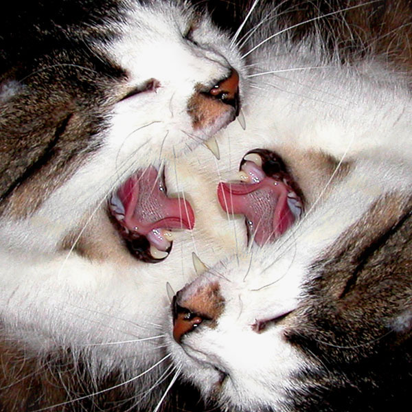 А-а-а!!! 