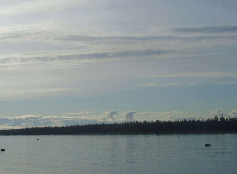Кони белые облака, море