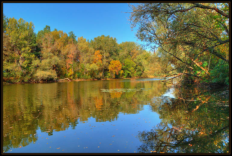 Осенний коктель осень река