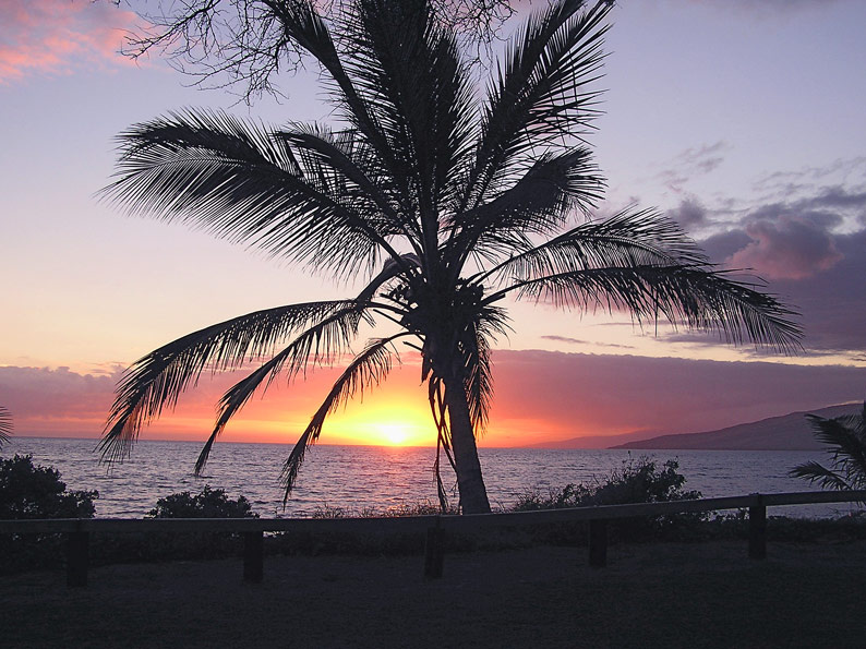 пожар на море Hawaii Maui пальма море Солнце