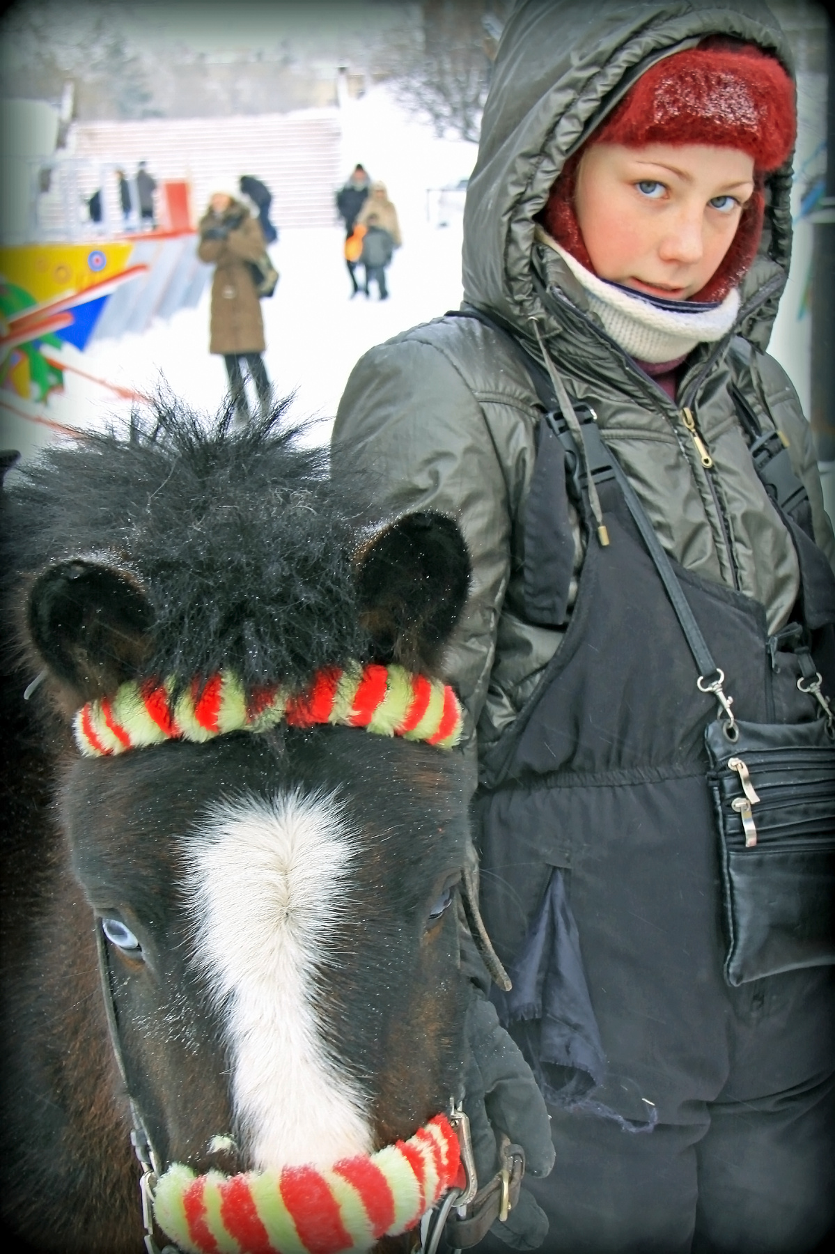 Замерзли голубоглазые... 