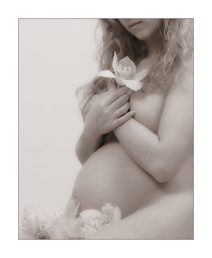  The Wild Orchid 