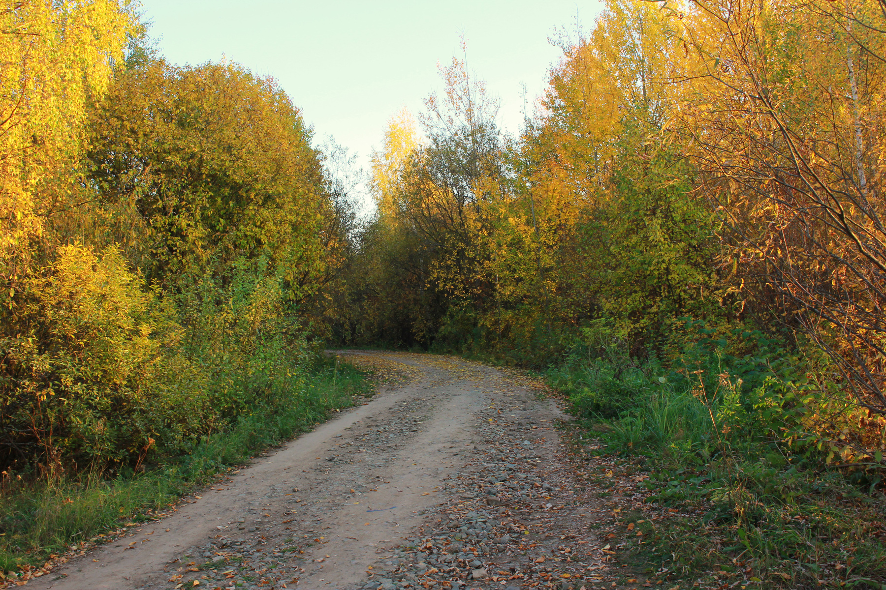 Дорога в осень 