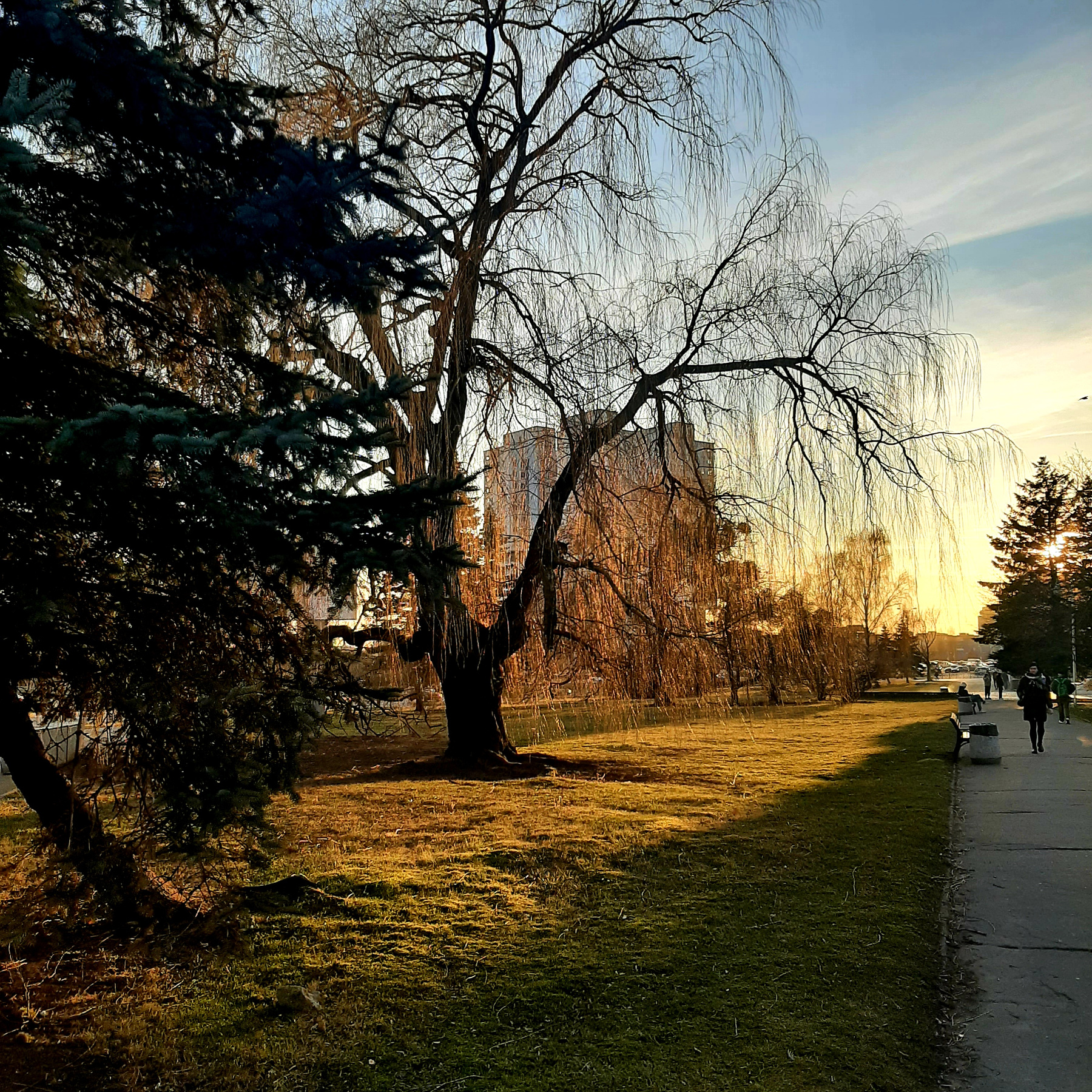 Луч солнце 
