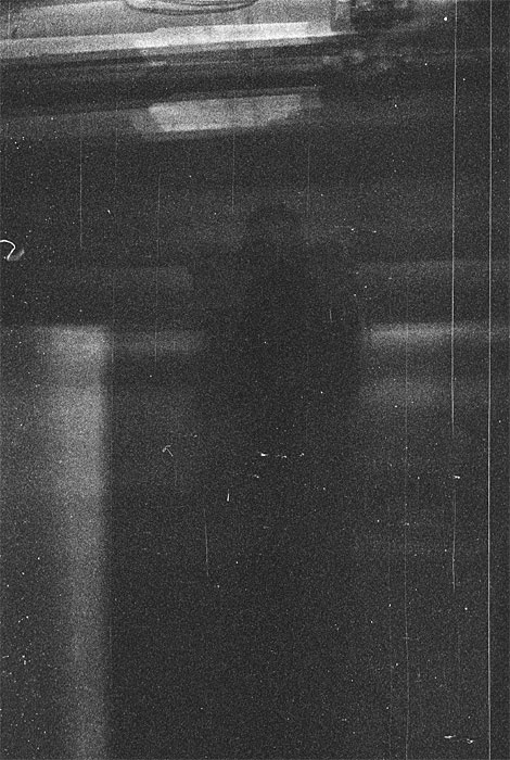 dzen_v_священном_саду 