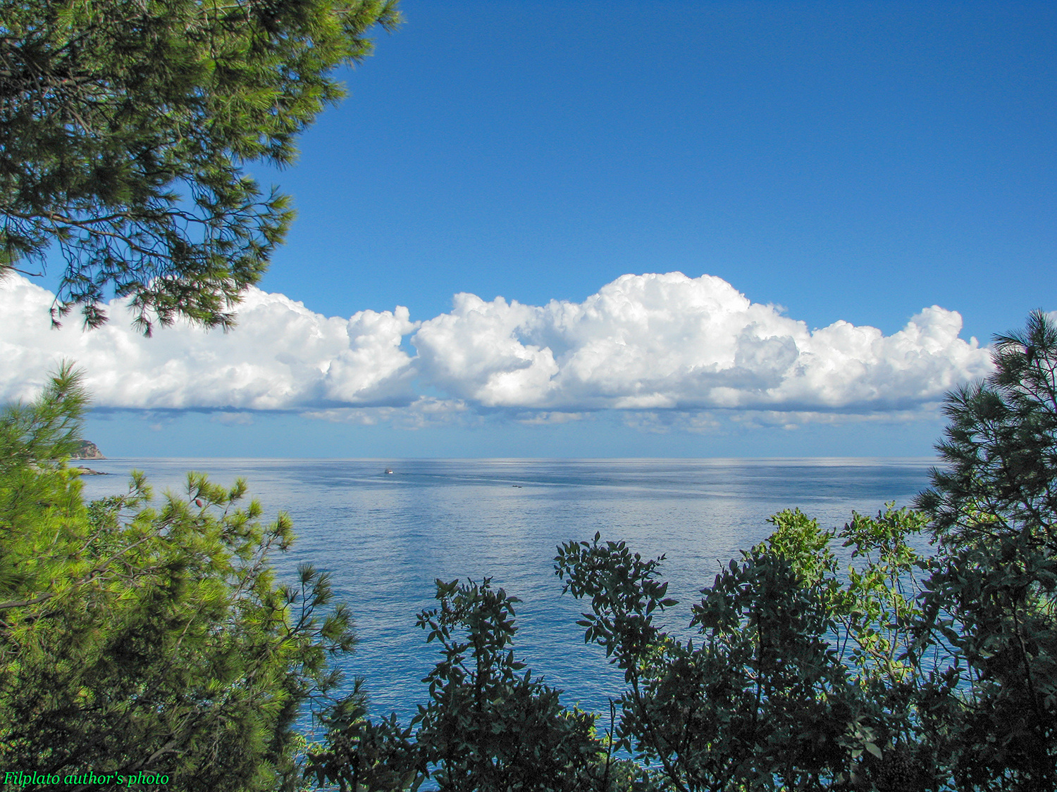 Алупка. Сентябрь виды Крыма Алупки облака над морем отражение облаков в море