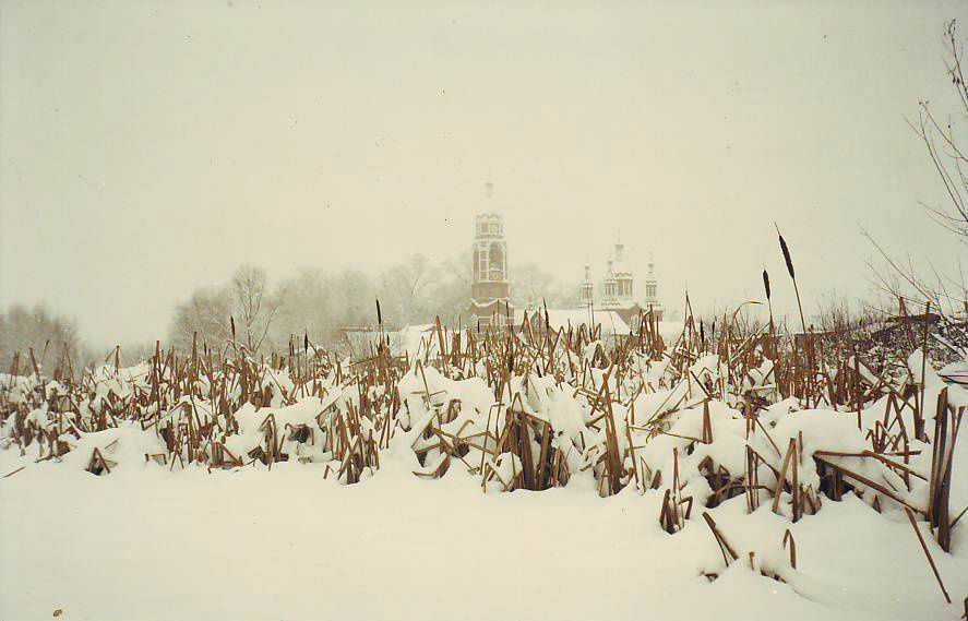 Камыши 
