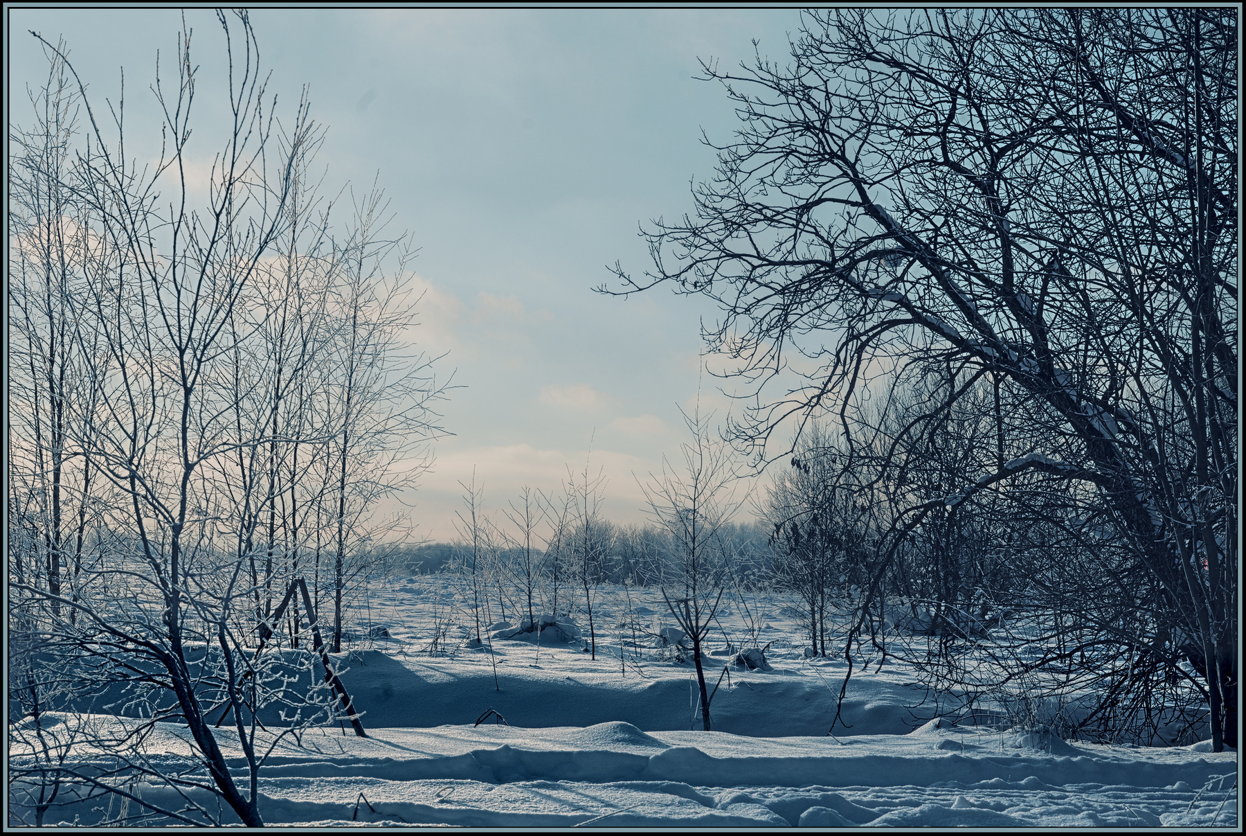В конце января 
