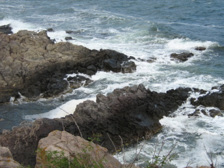 море в Болгарии море скалы
